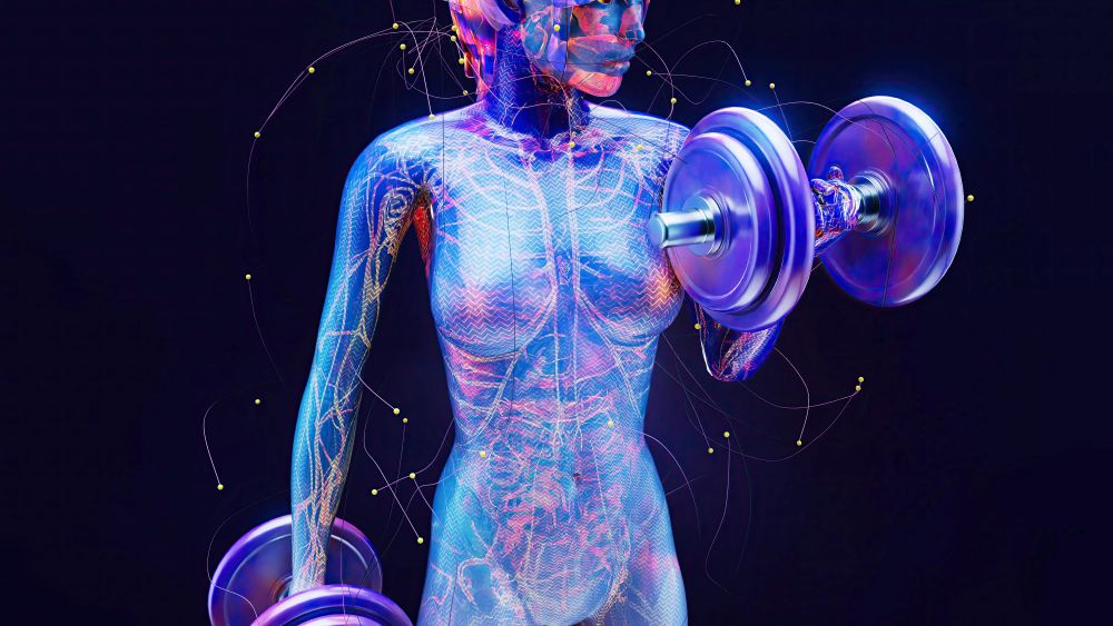 Mulher treinando com halteres, com destaque para sistemas hormonais internos, representando a conexão entre treino e equilíbrio hormonal.
