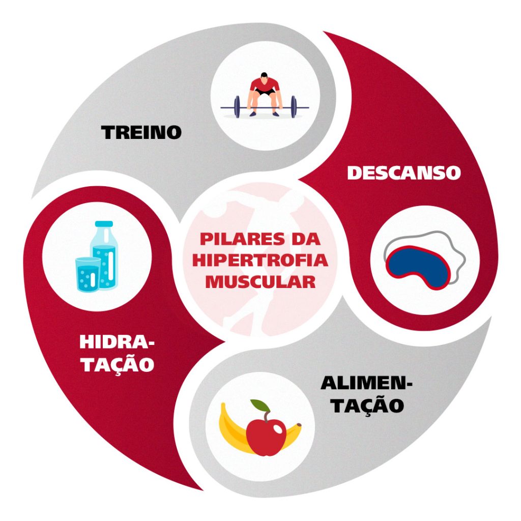 Pilares da hipertrofia muscular: treino, descanso, alimentação e hidratação