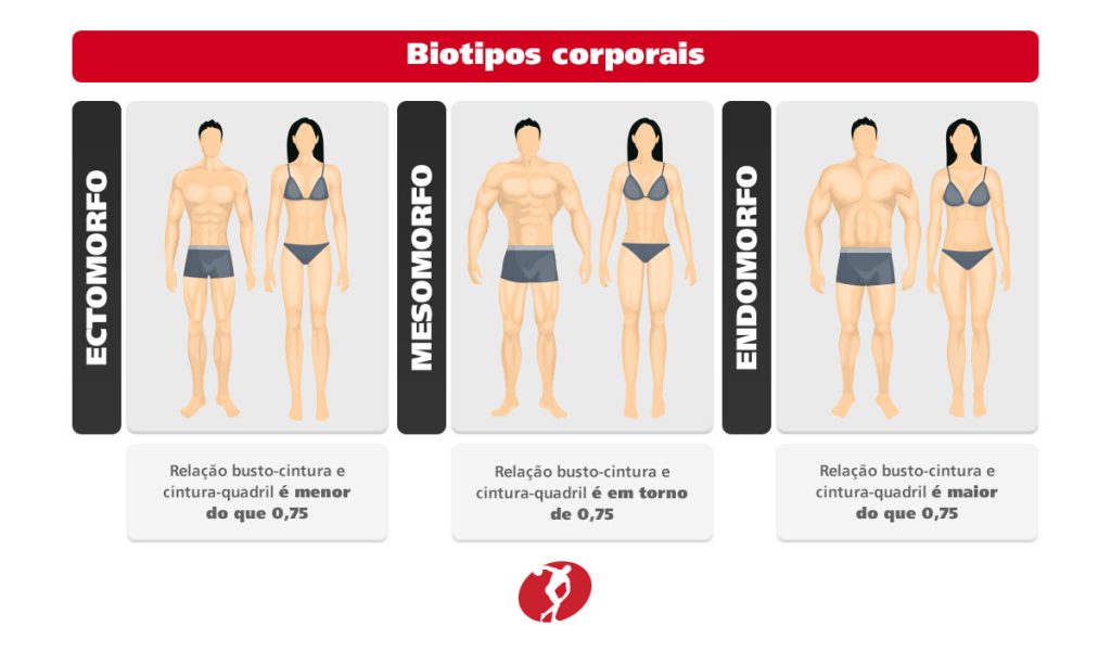 O biotipo corporal é definido pelo formato do corpo humano, que sofre influência da genética, do metabolismo, da quantidade de massa corporal e gordura, além de constituição óssea.