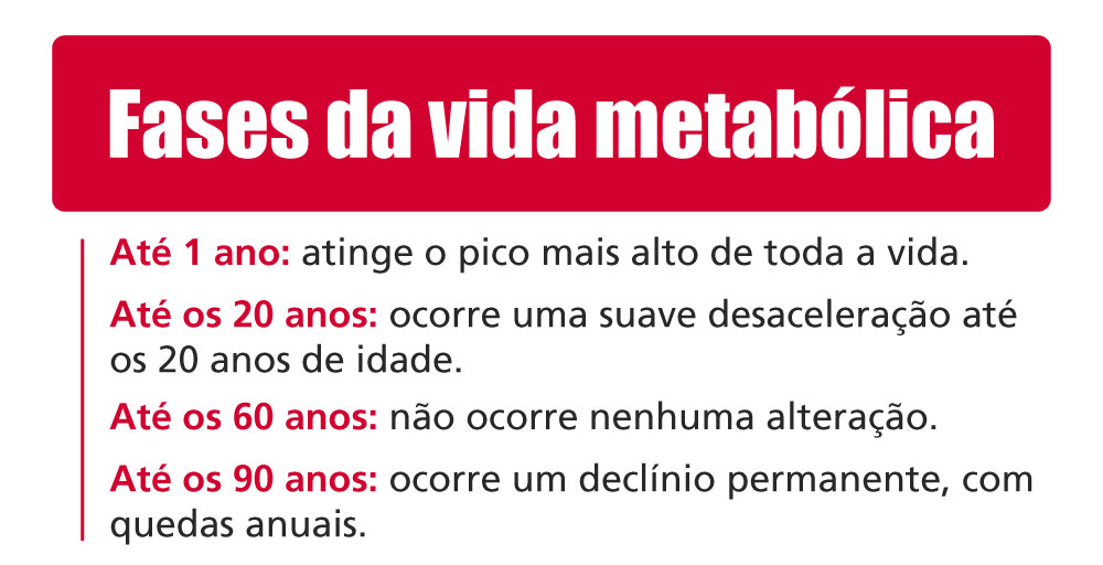 Fases da vida metabólica

Até 1 ano: atinge o pico mais alto de toda a vida.

Até os 20 anos: ocorre uma suave desaceleração até os 20 anos de idade.

Até os 60 anos: não ocorre nenhuma alteração.

Até os 90 anos: ocorre um declínio permanente, com quedas anuais.