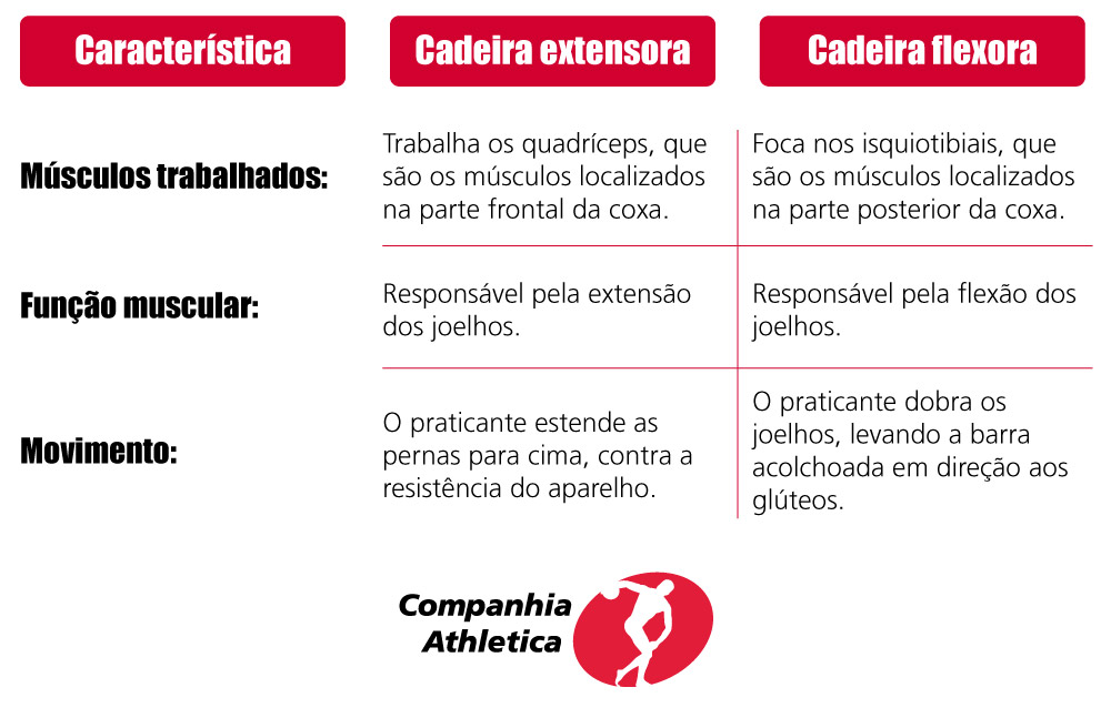 Cadeira extensora x Cadeira flexora

Característica - Músculos trabalhados:
Cadeira extensora: trabalha os quadríceps, que são os músculos localizados na parte frontal da coxa.
Cadeira flexora: foca nos isquiotibiais, que são os músculos localizados na parte posterior da coxa.
Característica - Função muscular:
Cadeira extensora: responsável pela extensão dos joelhos.
Cadeira flexora: responsável pela flexão dos joelhos.
Característica - Movimento:
Cadeira extensora: o praticante estende as pernas para cima, contra a resistência do aparelho.
Cadeira flexora: o praticante dobra os joelhos, levando a barra acolchoada em direção aos glúteos.
Característica - Foco principal:
Cadeira extensora: trabalha os músculos agonistas (quadríceps), localizados na parte frontal da coxa.
Cadeira flexora: trabalha os músculos antagonistas (isquiotibiais), localizados na parte posterior da coxa.
